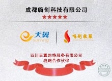 四川天翼网络战略合作伙伴